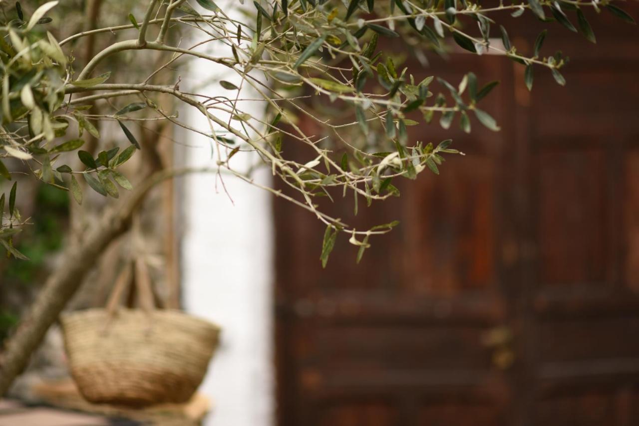 Atelier Boutique Hotel Shkodër Esterno foto